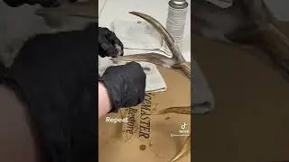 Part 1 of restoring a fire damaged deer skull. So satisfying. #clean #satisfying #shorts