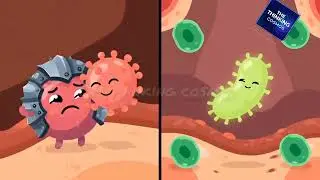 Viruses vs Bacteria: The Secret War Inside You(3-Minute Animated Explanation)