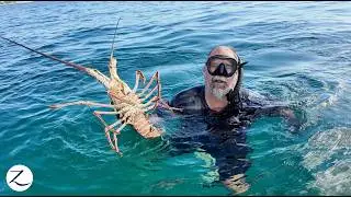 Ловля ОГРОМНЫХ ЛОБСТЕРОВ в Карибском море! (Эпизод 301)