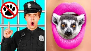 Ways to Sneak Pets into Jail | Crazy Challenge by HAHANOM Challenge