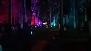 luminous night at gladstone qld #travel #colors