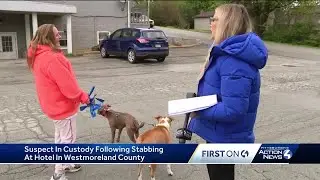 Unity Township Hotel Stabbing Update