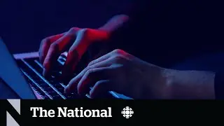 Police believe AI voice cloning used to scam seniors