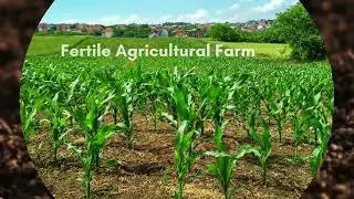 From Dust to Harvest: Witness the Transformation of Barren Land into an Agricultural Farm