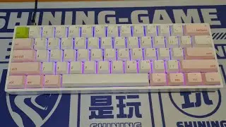 Typing FULL STOCK Skyloong Sk61/Gk61 /Gateron Brown