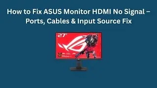 Как исправить отсутствие сигнала HDMI на мониторе ASUS: порты, кабели и источник входного сигнала