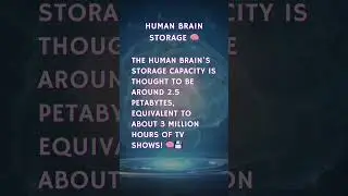 Mind-Blowing Brain Fact: Human Brain Storage Capacity! 🧠💾
