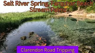 Clarendon Road Trip: Salt River Spring, Farquhar Beach, Stream Palmz