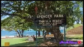 #bigIslandbeaches #bigislandparks SPENCER PARK || OHAI'ULA BEACH || BIG ISLAND BEACH PARK || Part 1