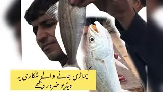 fishing Karachi  fishing | #fishing #fishingvideo #bottomfishing #karachifishing #pakistanfishing
