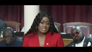 Health Minister tables 2025 Mental Health Bill