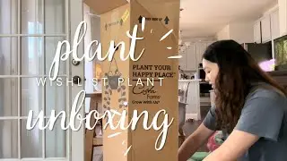 WISHLIST Plant Unboxing Costa Farms Sale