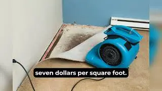 Cost to Repair Water Damage in Grand Junction Homes 2025