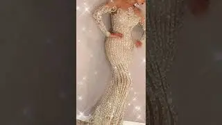 Mesh Sheer Lace Shiny Elegant Sexy Long Evening Dresses