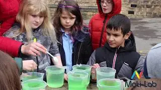 Ks2 Science Experiment: Slime Time - Full Version