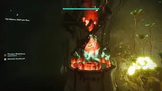 Catching Exotic fish to get quest started