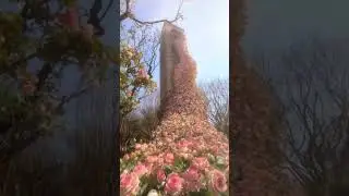 #цветы #beautiful #flowerslover #растения #flow #nature #plants #garden #растения #красивыйсад