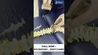 Chiropractic in Delhi | L4L5 slip disc | Disc Bulge | Dr Varun Duggal ChiropracticinIndia #shortfeed