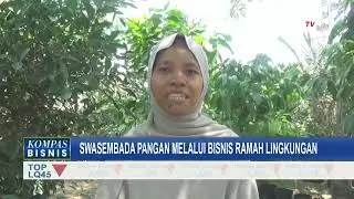 'Yoso Farm Homestead', Usaha Warga Klaten Bangun Sistem Integrasi Swasembada Pangan