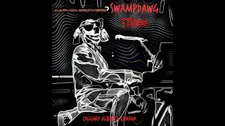 Funky Blues - SwampDawg Minilogue Project