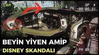 DISNEY SU PARKLARININ KARANLIK YÜZÜ