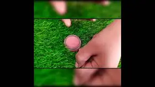 Rose lip balm