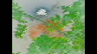 Barrett Marshall - Terra Mater (Official Video)