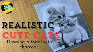 Realistic cure cats drawing tutorial | how to draw cate drawing with outline