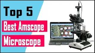 Top 5 Best Amscope Microscope Review In 2021