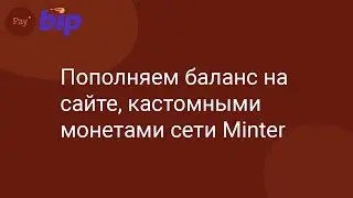 Пополняем баланс на сайте кастомными монетами сети Minter | MinterPay