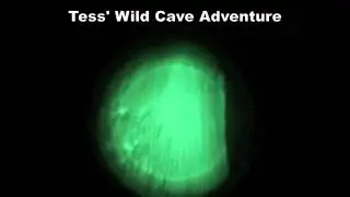 Caving with Generation 1+ Night Vision at Worley's Cave