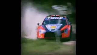 i love rally #rally #rallycar #worldrallychampionship #wrc #motorsport #motorsports #rallyedit#edit