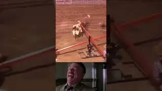 cowboy vs Bull 😂🤣 #shorts #cowbys #funny #2023