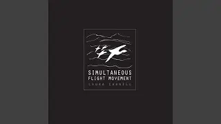 Simultaneous Flight Movement