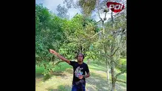 HASIL RAWATAN MENGGUNAKAN PRS , DOLOMITE & FYTOBACTY | PART 2