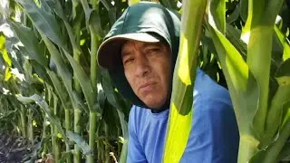 Missing father may be victim in deadly Napa County crash, family says