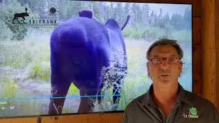 Publicit&eacute;: Bande annonce  &Agrave; l'&eacute;coute des orignaux 2