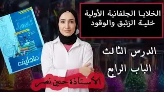 حل أسئلة الدرس الثالث الباب الرابع كتاب مندليف 2026 الخلايا الجلفانية الأولية ثالثه ثانوي 