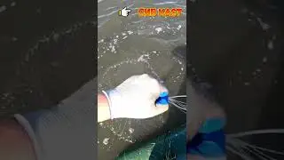 Рыбалка один заброс полная сеть рыбы