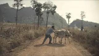 UPS Laos Vaccines