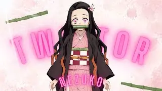 Nezuko Twixtor Moments