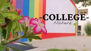 College nature /  college / music / college video / nature
