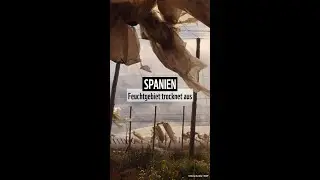 😢 OH NO 😢🚜🌾 Spanien: Intensive Landwirtschaft schadet Feuchtgebiet 🤬 👎👎