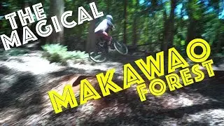 Best free things to do on Maui - Magical Makawao Forest (Mountain Biking Adventure)