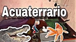 Acuaterrario para cocodrilos y caimanes 🐊💚