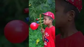 Creative Bamboo DIY Instrument with Colourful Balloons