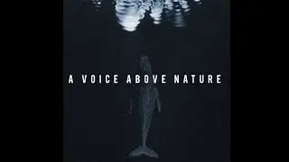 A Voice Above Nature