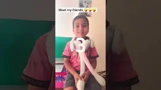 Mere doston Se Milo, Meet my tiger friends #entertainment #viral #ytshorts