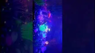 Glo tank