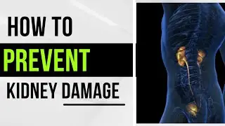 Prevent Kidney damage in 10 minutes | How to maintain healthy kidneys naturally.  #healthykidneys